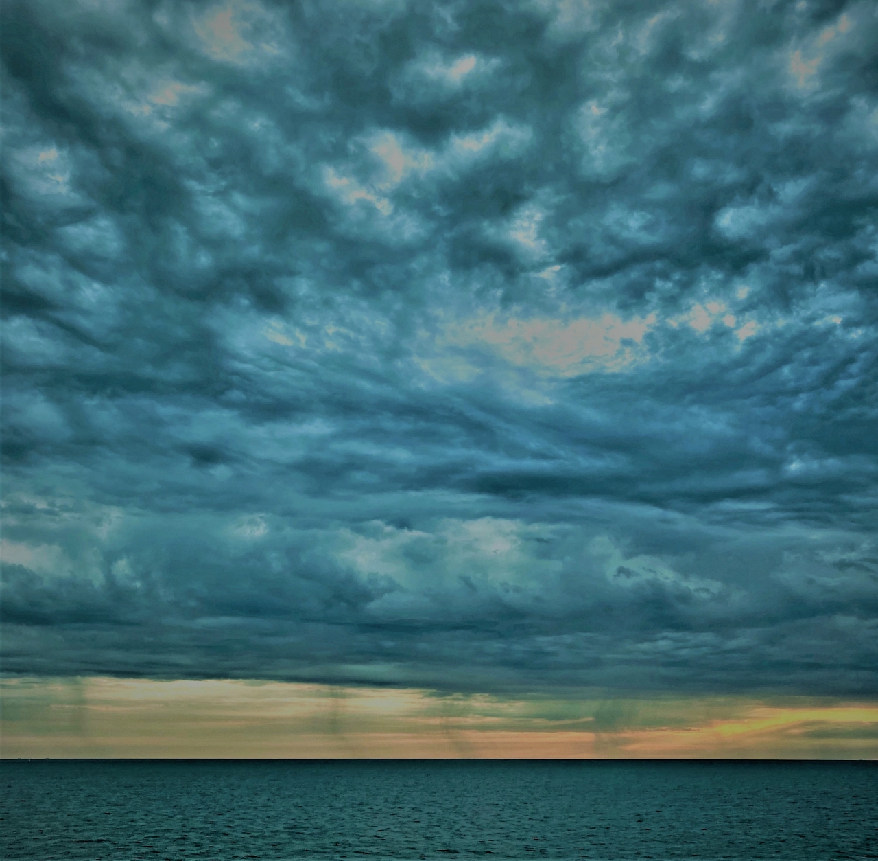 Meer_C1a